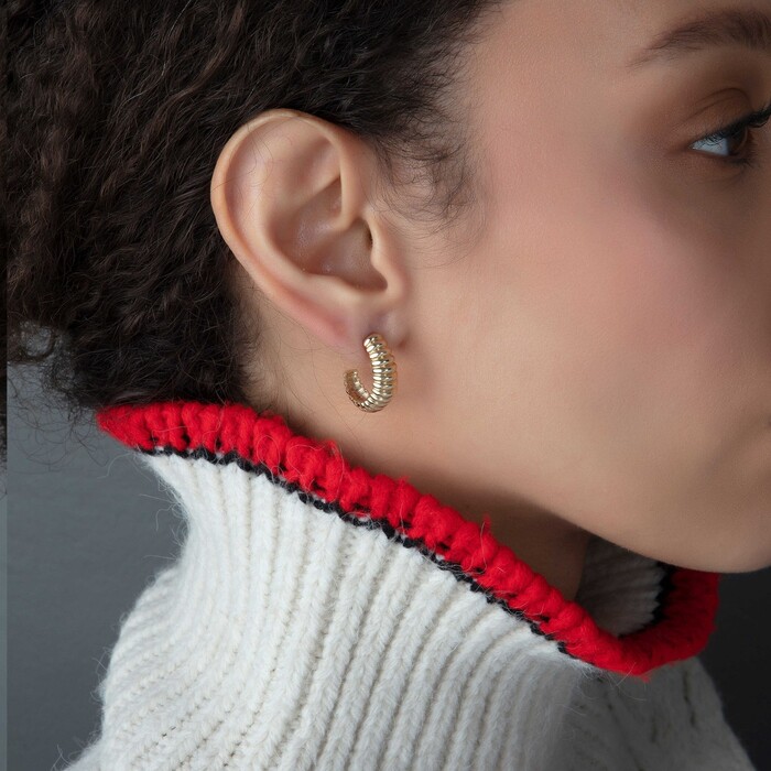 Arnigold - YELLOW GOLD HOOP EARRING 14K